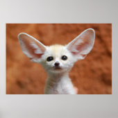 Kutest Baby Animals | Fennec Fox Pup Poster (Voorkant)