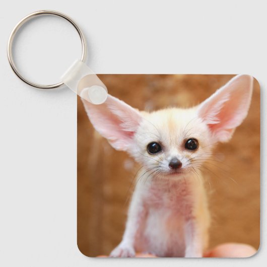 Kutest Baby Animals | Fennec Fox Sleutelhanger (Voorkant)
