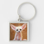 Kutest Baby Animals | Fennec Fox Sleutelhanger (Voorkant)
