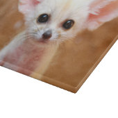 Kutest Baby Animals | Fennec Fox Snijplank (Hoek)