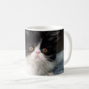Kutest Baby Animals Fluffy B&W Kitten Koffiemok