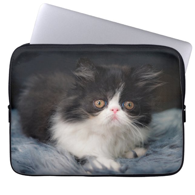 Kutest Baby Animals | Fluffy B&W Kitten Laptop Sleeve (Voorkant)