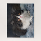 Kutest Baby Animals | Fluffy B&W Kitten Legpuzzel (Verticaal)