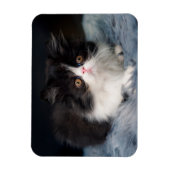Kutest Baby Animals | Fluffy B&W Kitten Magneet (Verticaal)