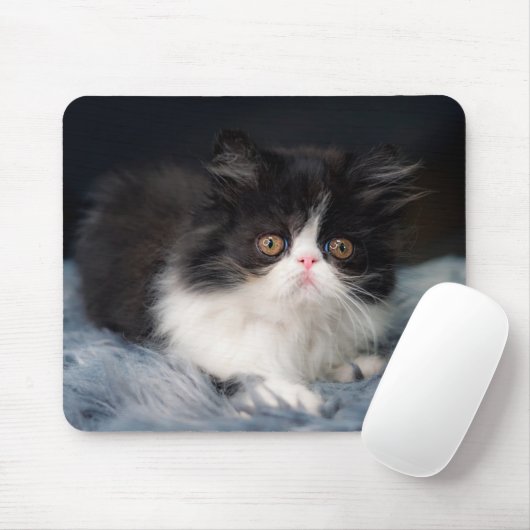 Kutest Baby Animals | Fluffy B&W Kitten Muismat (Met muis)