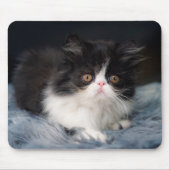 Kutest Baby Animals | Fluffy B&W Kitten Muismat (Voorkant)