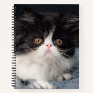 Kutest Baby Animals   Fluffy B&W Kitten Notitieboek