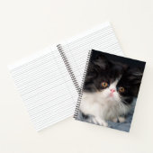 Kutest Baby Animals | Fluffy B&W Kitten Notitieboek (Binnen)