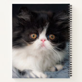 Kutest Baby Animals | Fluffy B&W Kitten Notitieboek (Achterkant)