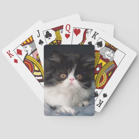 Kutest Baby Animals | Fluffy B&W Kitten Pokerkaarten (Achterkant)