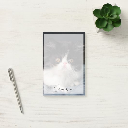 Kutest Baby Animals | Fluffy B&W Kitten Post-it® Notes (Kantoor)