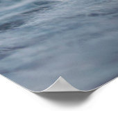 Kutest Baby Animals | Fluffy B&W Kitten Poster (Hoek)