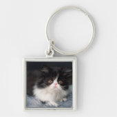 Kutest Baby Animals | Fluffy B&W Kitten Sleutelhanger (Voorkant)