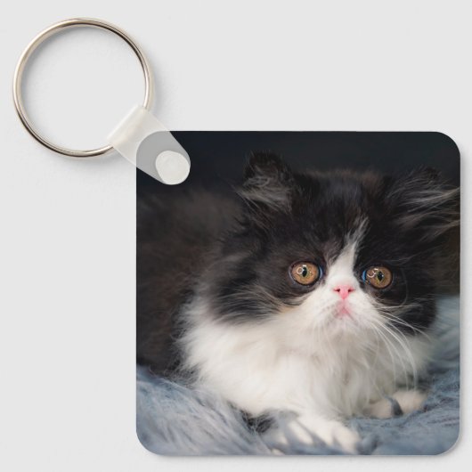 Kutest Baby Animals | Fluffy B&W Kitten Sleutelhanger (Voorkant)