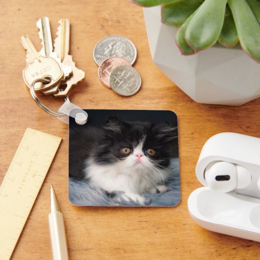 Kutest Baby Animals | Fluffy B&W Kitten Sleutelhanger (Bureau)