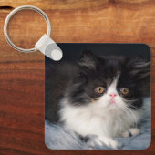 Kutest Baby Animals | Fluffy B&W Kitten Sleutelhanger (Voorkant)