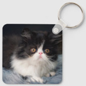 Kutest Baby Animals | Fluffy B&W Kitten Sleutelhanger (Achterkant)