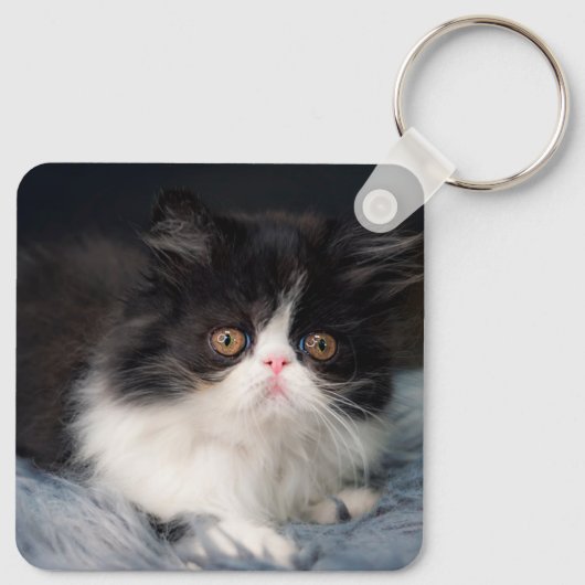 Kutest Baby Animals | Fluffy B&W Kitten Sleutelhanger (Achterkant)