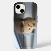 Kutest Baby Animals | Fluffy Oranje Kitten Case-Mate iPhone Case (Achterkant)