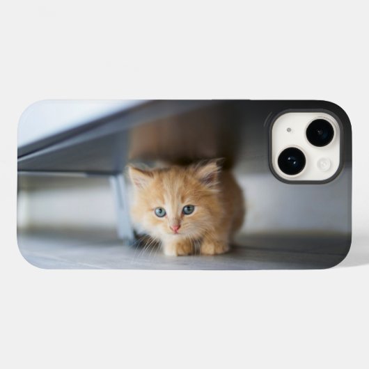 Kutest Baby Animals | Fluffy Oranje Kitten Case-Mate iPhone Case (Achterkant (horizontaal))
