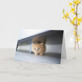 Kutest Baby Animals | Fluffy Oranje Kitten Kaart (Gele Bloem)