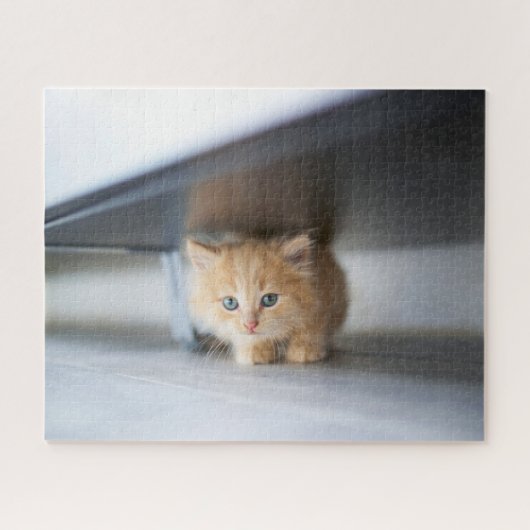 Kutest Baby Animals | Fluffy Oranje Kitten Legpuzzel (Horizontaal)
