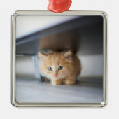 Kutest Baby Animals | Fluffy Oranje Kitten Metalen Ornament (Voorkant)