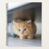 Kutest Baby Animals | Fluffy Oranje Kitten Planner (Voorkant)