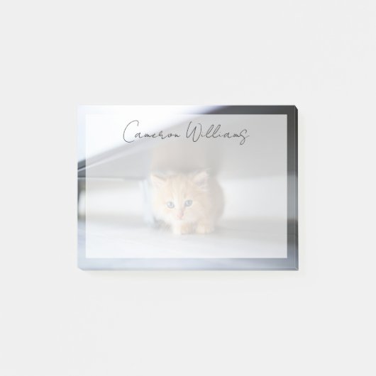 Kutest Baby Animals | Fluffy Oranje Kitten Post-it® Notes (Voorkant)