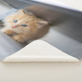 Kutest Baby Animals | Fluffy Oranje Kitten Sherpa Deken (3/4)