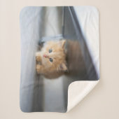 Kutest Baby Animals | Fluffy Oranje Kitten Sherpa Deken (Voorkant)