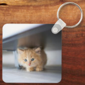 Kutest Baby Animals | Fluffy Oranje Kitten Sleutelhanger (Achterkant)