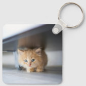 Kutest Baby Animals | Fluffy Oranje Kitten Sleutelhanger (Achterkant)