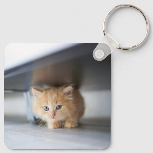 Kutest Baby Animals | Fluffy Oranje Kitten Sleutelhanger (Achterkant)