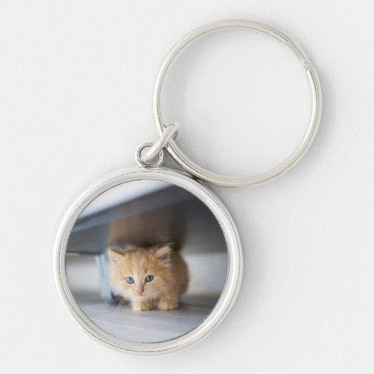 Kutest Baby Animals | Fluffy Oranje Kitten Sleutelhanger (Voorkant)