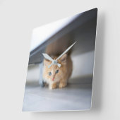 Kutest Baby Animals | Fluffy Oranje Kitten Vierkante Klok (Hoek)