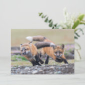 Kutest Baby Animals | Fox-jongen bij afspelen Bedankkaart (Staand voorkant)