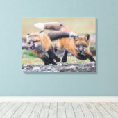 Kutest Baby Animals | Fox-jongen bij afspelen Canvas Afdruk (Insitu (Houten vloer))