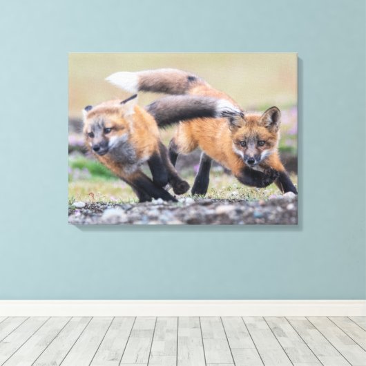 Kutest Baby Animals | Fox-jongen bij afspelen Canvas Afdruk (Insitu (Houten vloer))