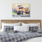 Kutest Baby Animals | Fox-jongen bij afspelen Canvas Afdruk (Insitu (Slaapkamer))