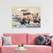 Kutest Baby Animals | Fox-jongen bij afspelen Canvas Afdruk (Insitu (Woonkamer))