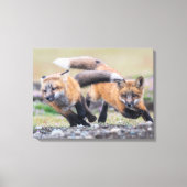 Kutest Baby Animals | Fox-jongen bij afspelen Canvas Afdruk (Voorkant)