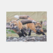 Kutest Baby Animals | Fox-jongen bij afspelen Fleece Deken (Voorkant (Horizontaal))