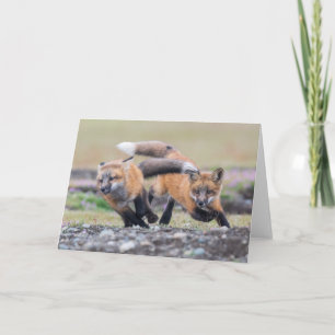 Kutest Baby Animals Fox-jongen bij afspelen Kaart