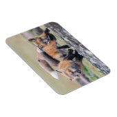 Kutest Baby Animals | Fox-jongen bij afspelen Magneet (Rechterzijde)