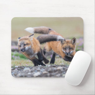 Kutest Baby Animals   Fox-jongen bij afspelen Muismat