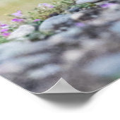 Kutest Baby Animals | Fox-jongen bij afspelen Poster (Hoek)