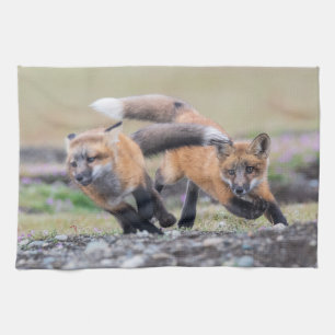 Kutest Baby Animals Fox-jongen bij afspelen Theedoek