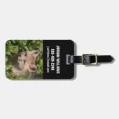 Kutest Baby Animals | Fox Kit Bagagelabel (Voorkant horizontaal)