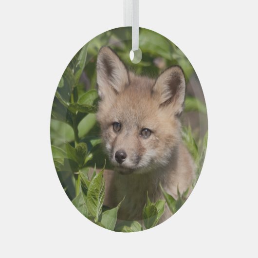 Kutest Baby Animals | Fox Kit Glas Ornament (Voorkant Rechts)